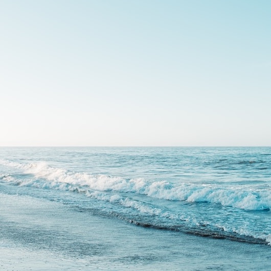 2021/2022年　東京大学1段階選抜合格者点数